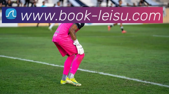 雷速平台平台生态图